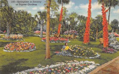 Springtime in January at Dupree Gardens Florida Postcard