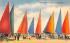 Sand Sailers on Daytona Beach Florida Postcard