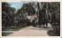 Ridgewood Ave. Daytona, Florida Postcard