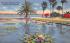 Lily Pond, Waterfront Park Daytona Beach, Florida Postcard
