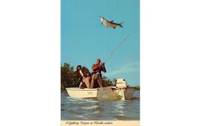 A fighting Tarpon in Florida waters Postcard