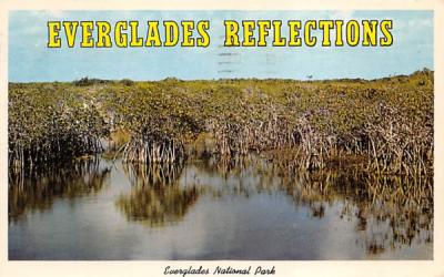 Everglades Reflections Everglades National Park, Florida Postcard