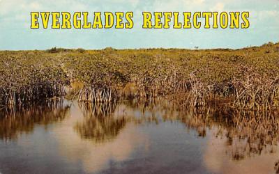 Everglades Reflections Florida Postcard