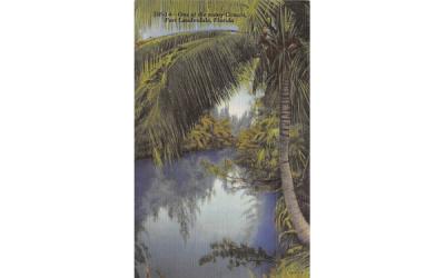 One of the many Canals Fort Lauderdale, Florida Postcard