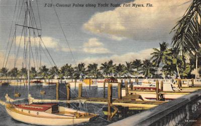 Coconut Palms along Yacht Basin Fort Myers, Florida Postcard