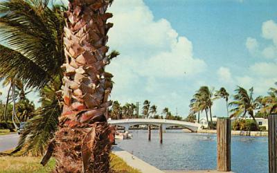 The many waterways throughout Ft. Lauderdale, FL, USA Fort Lauderdale, Florida Postcard