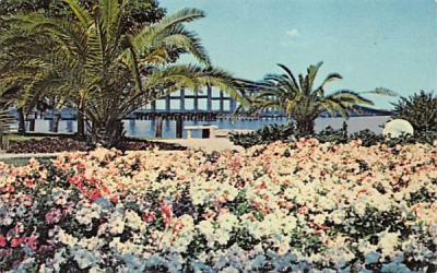 Petunia Bed in Men's Garden Club Park Fort Myers, Florida Postcard