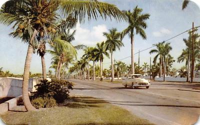 Las Olas Boulevard Fort Lauderdale, Florida Postcard