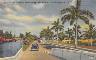 Famous Royal Palms along Las Olas Blvd. Fort Lauderdale, Florida Postcard