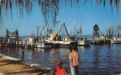 Harbor View of Fort Myers, FL, USA Florida Postcard