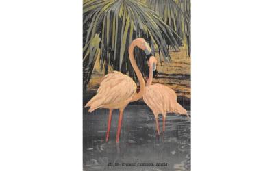 Graceful Flamingos, FL, USA Florida Postcard