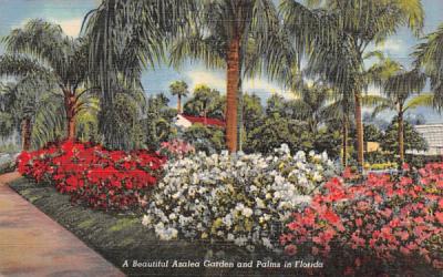 A Beautiful Azalea Garden and Palms in Florida, USA Postcard