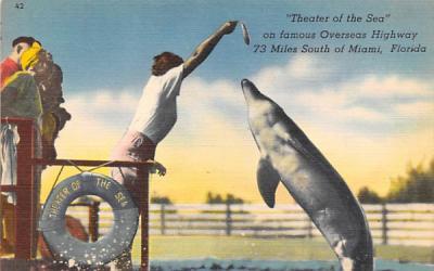 Theater of the Sea on famous Overseas Highway Florida Keys Postcards, Florida