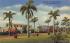 New Island Homes Fort Lauderdale, Florida Postcard