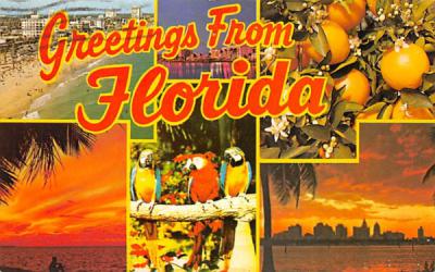Greetings from Florida, USA Postcard