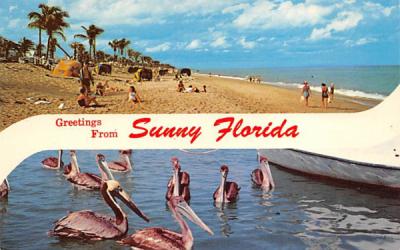 Greetings from Sunny Florida, USA Postcard