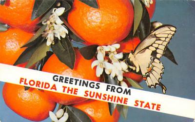 Greetings from Florida the Sunshine State, USA Postcard
