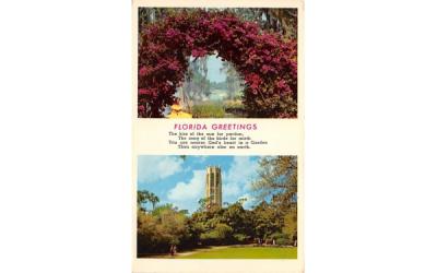 Florida Greetings, USA Postcard