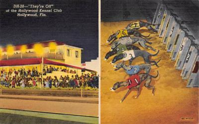 They're Off at the Hollywood Kennel Club Florida Postcard