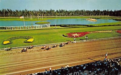 A thrilling finish at colorful Hialeah Race Course Florida Postcard