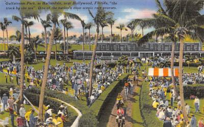 Gulfstream Park at Hallandale Florida Postcard