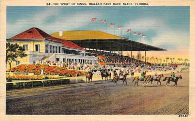 The Sport of Kings, Hiahleah Park Race Track Hialeah, Florida Postcard