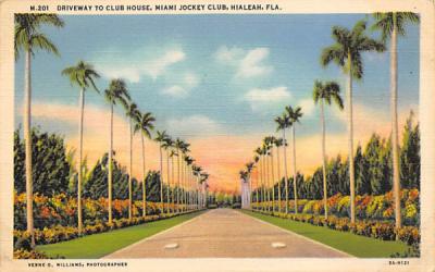 Driveway to Club House, Miami Jockey Club Hialeah, Florida Postcard
