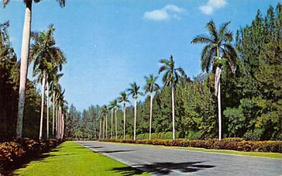 Hialeah Race Course Florida Postcard