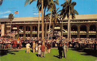 Rear View of Grandstand at Hialeah Race Course Florida Postcard