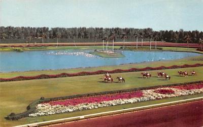 Turf at Beautiful Hialeah Race Course Florida Postcard