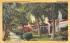 A Palm Shaded Residence Street, Harrison Street Hollywood, Florida Postcard