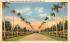 Driveway to Club House, Miami Jockey Club Hialeah, Florida Postcard