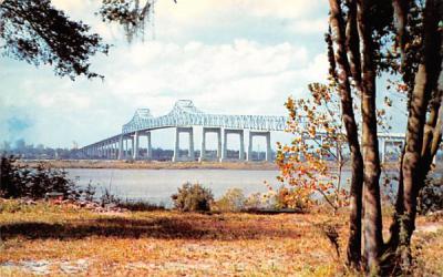 John E. Matthews Bridge Jacksonville, Florida Postcard