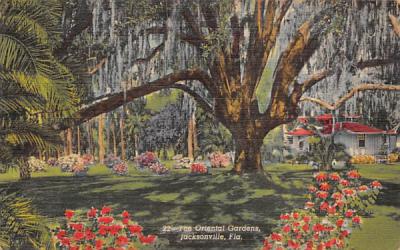 The Oriental Gardens Jacksonville, Florida Postcard