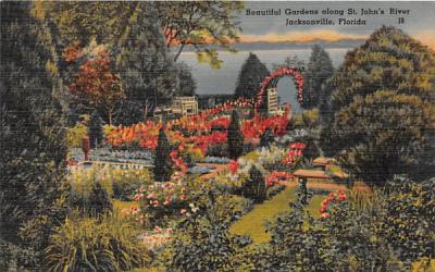 Beautiful Gardens along St. John's River Jacksonville, Florida Postcard
