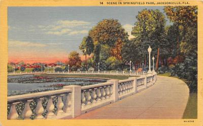 Scene in Springfield Park Jacksonville, Florida Postcard