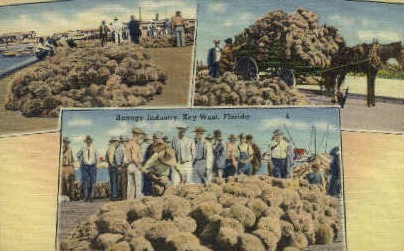 Sponge Industry - Key West, Florida FL Postcard