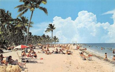 Lovely Sandy Beach, Crandon Park Key Biscayne, Florida Postcard