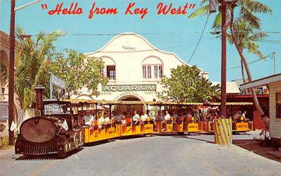 Municipal Aquarium and Conch Tour Train Key West, Florida Postcard