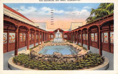 The Aquarium Key West, Florida Postcard