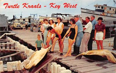 Turtle Kraals Key West, Florida Postcard