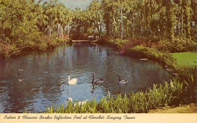 Palms & Flowers Border Lake Wales, Florida Postcard