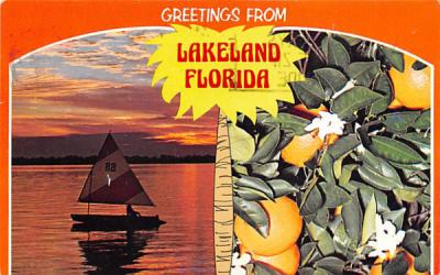 Greetings from Lakeland, FL, USA Florida Postcard
