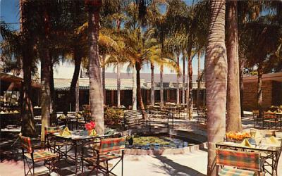 Palm Gardens, INC. Largo, Florida Postcard