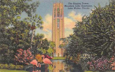 Singing Tower, Mountain Lake Sanctuary Lake Wales, Florida Postcard