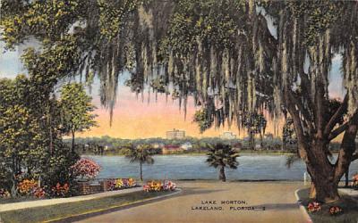 Lake Morton Lakeland, Florida Postcard
