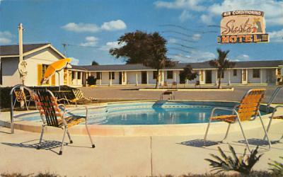 Siesta Motel Lakeland, Florida Postcard