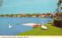 Swans at Lake Morton Lakeland, Florida Postcard