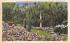 Path Thru Easter Glade, Mountain Lake Santuary Lake Wales, Florida Postcard