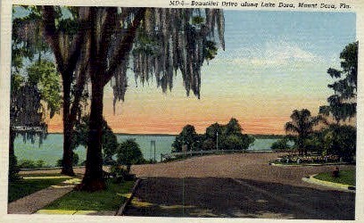 Lake Dora - Mount Dora, Florida FL Postcard